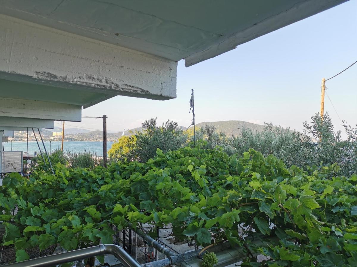 Villa Tasos Nea Peramos  Ngoại thất bức ảnh